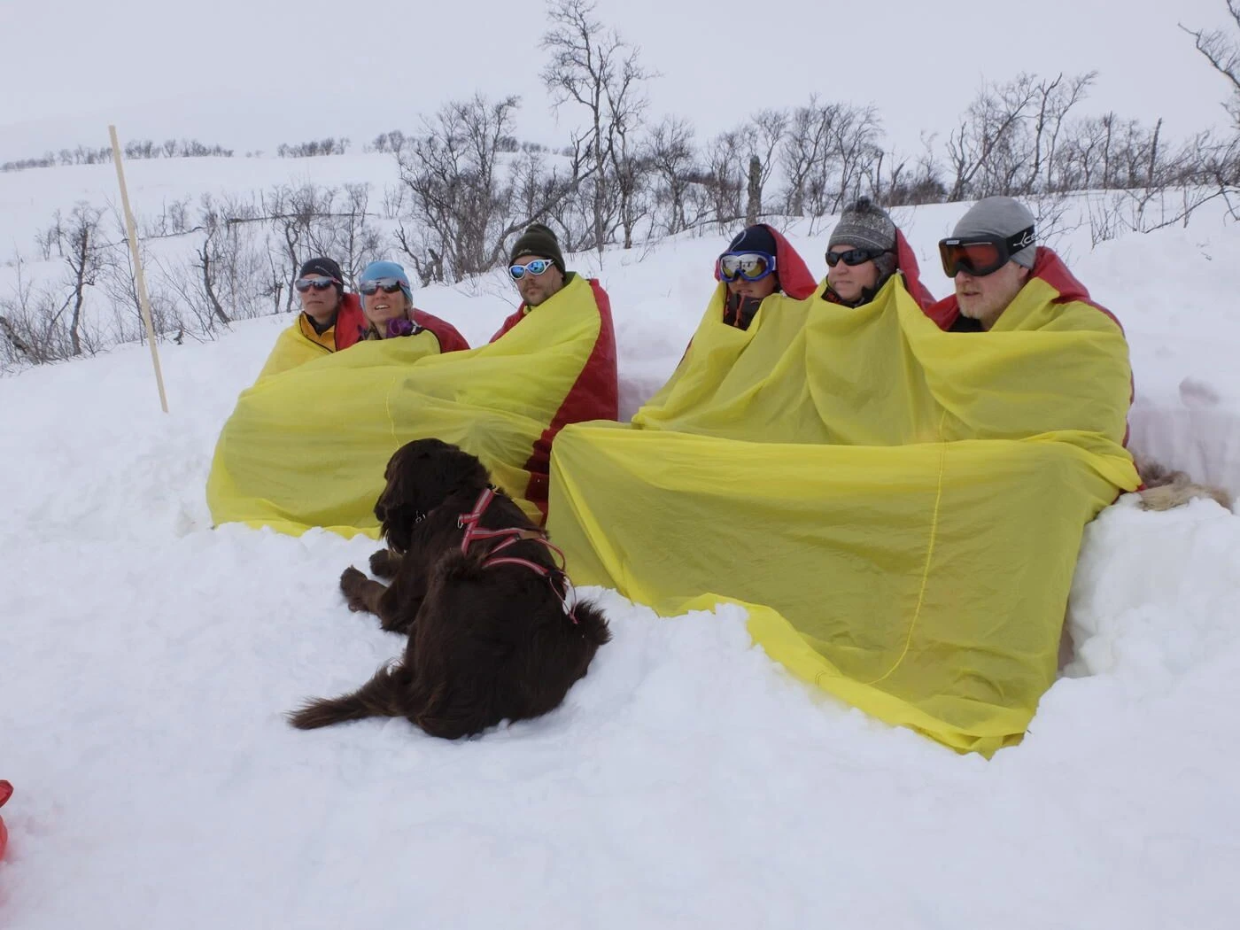 Hilleberg Windsack 3 5 Hilleberg Windsack 3 - Image 3