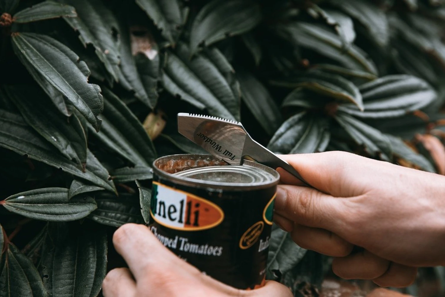 Full Windsor The Muncher 14 Full Windsor The Muncher - Image 12