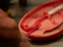 Clipbox Tick Twister -Magasin De Sports De Plein Air crochet anti tiques ticktwister 02