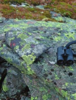 Jerven Fjellduken Hunter -Magasin De Sports De Plein Air jervenbag hunter montain