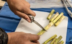 Leatherman Curl -Magasin De Sports De Plein Air multi outil pince multifonction leatherman curl 03 1