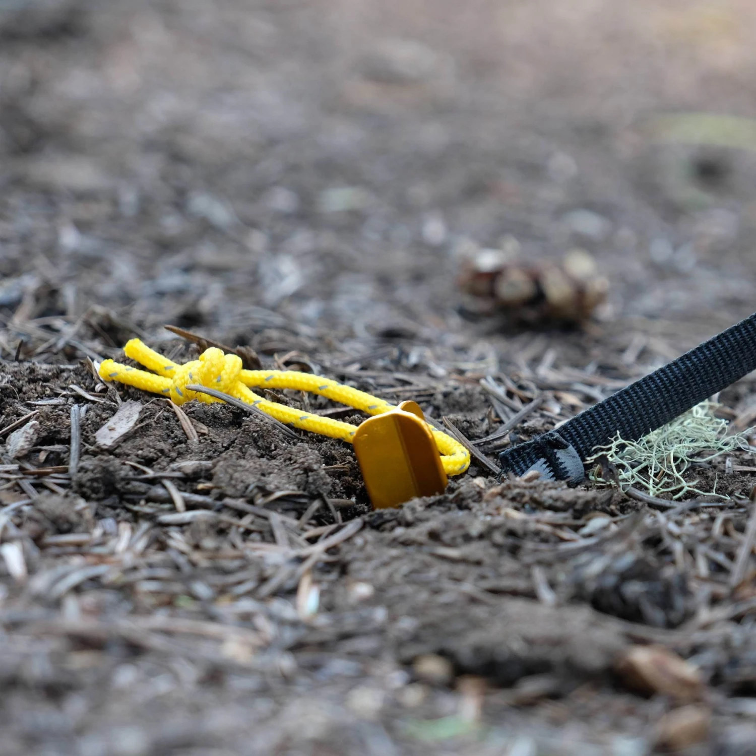 Six Moon Designs 6 Piece Stake Set 5 Six Moon Designs 6 Piece Stake Set - Image 3