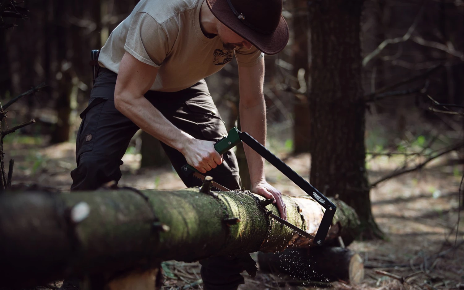 Agawa Canyon Boreal 24 9 Agawa Canyon Boreal 24 - Image 7