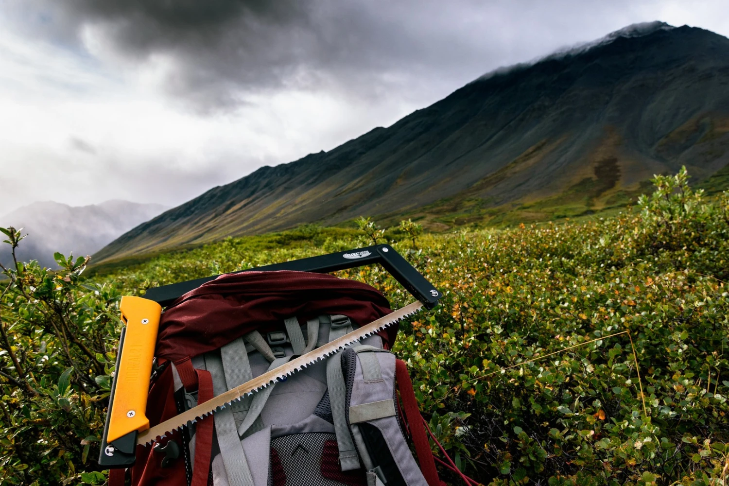 Agawa Canyon Boreal 24 11 Agawa Canyon Boreal 24 - Image 9