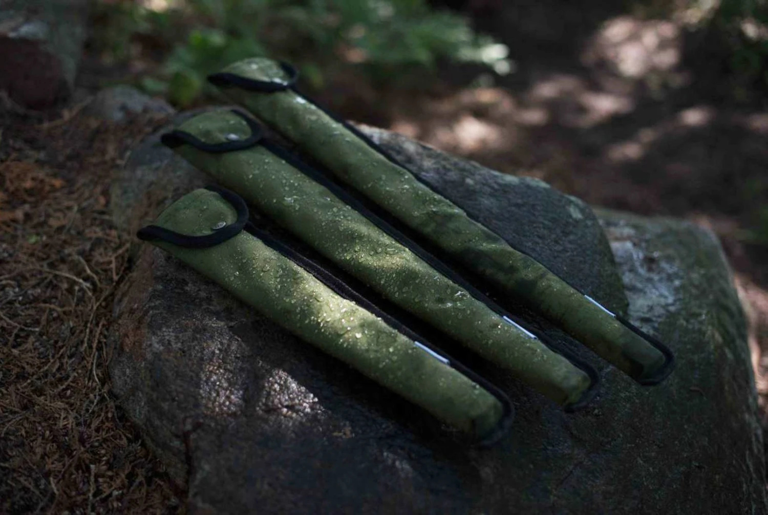 Agawa Canyon Boreal 24 17 Agawa Canyon Boreal 24 - Image 15