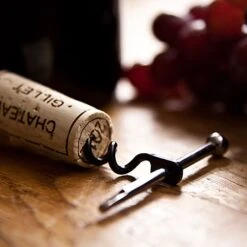 True Utility Twistick -Magasin De Sports De Plein Air tire bouchon twistick true utility 06